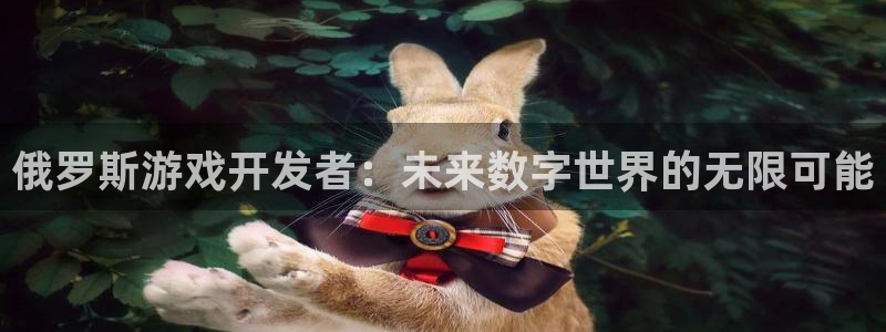 bg大游官网平台合法吗：俄罗斯游戏开发者：未来数字世界的无限可能
