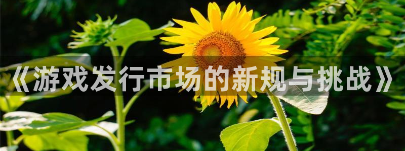 bg大游官网注册登录官网：《游戏发行市场的新规与挑战》