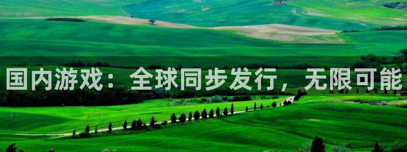 广州bg大游网络科技有限公司电话：国内游戏：全球同步发行，无限可能