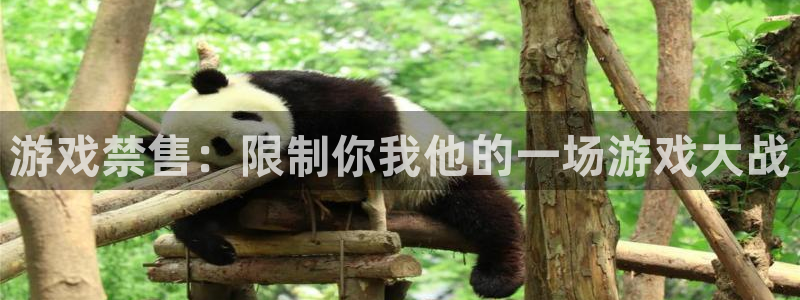 bg大游官网注册方法视频：游戏禁售：限制你我他的一场游戏大战