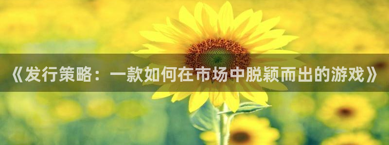bg大游官网客服怎么样：《发行策略：一款如何在市场中脱颖而出的游戏》