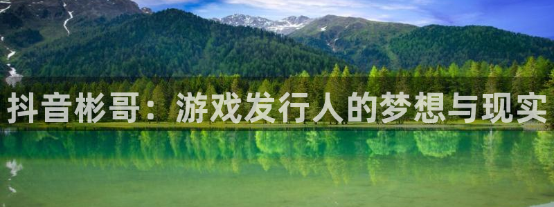 bg大游子公司怎么样可靠吗