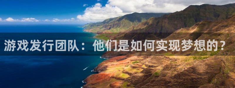 bg大游子猫图片：游戏发行团队：他们是如何实现梦想的？