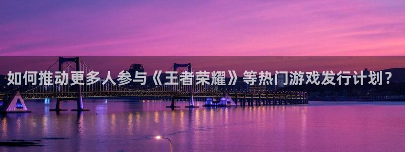 bg大游科技有限公司：如何推动更多人参与《王者荣耀》等热门游戏发行计划？