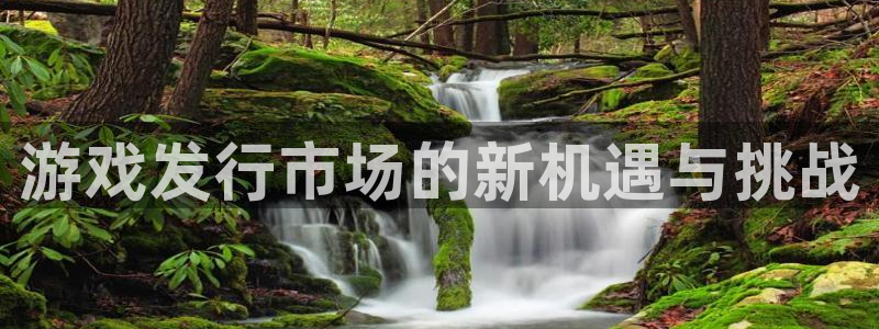 bg大游校服