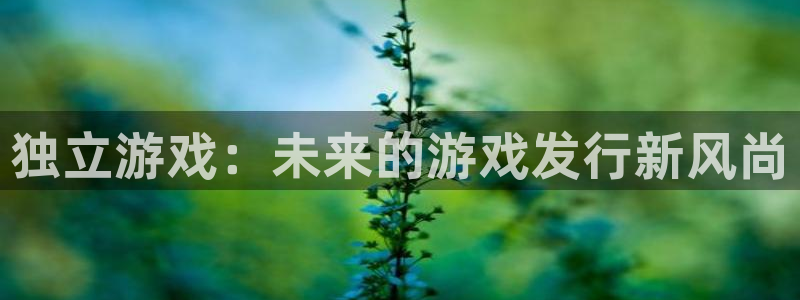 bg大游子股价：独立游戏：未来的游戏发行新风尚