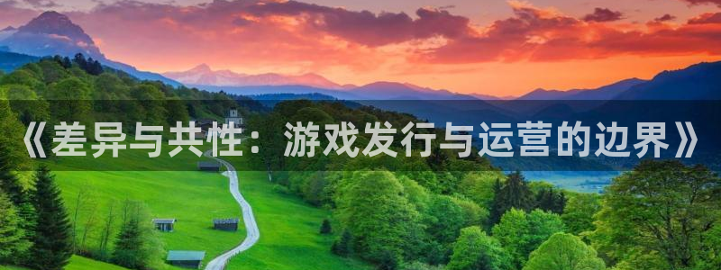 陕西省西安市bg大游子文化创意：《差异与共性：游戏发行与运营的边界》