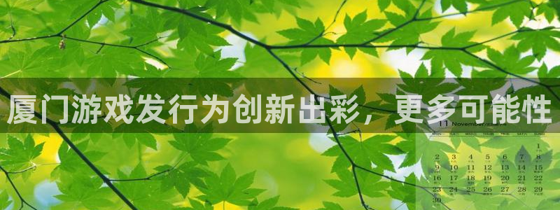 bg大游子集团：厦门游戏发行为创新出彩，更多可能性