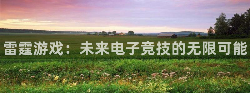 bg大游龙：雷霆游戏：未来电子竞技的无限可能