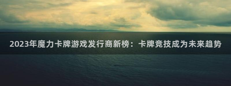 bg大游智邦(北京)品牌策划有限公司：2023年魔力卡牌游戏发行商新榜：卡牌竞技成为未来趋势