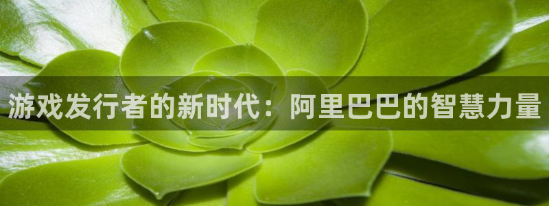 法国bg大游：游戏发行者的新时代：阿里巴巴的智慧力量