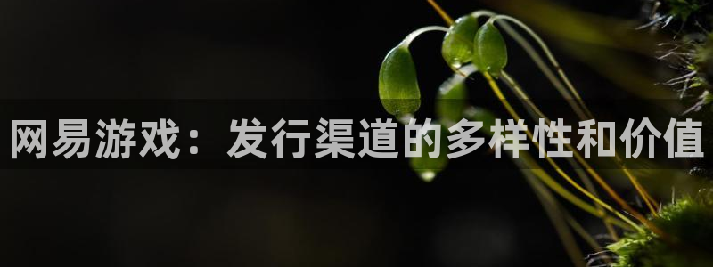 bg大游集团品牌策划机构