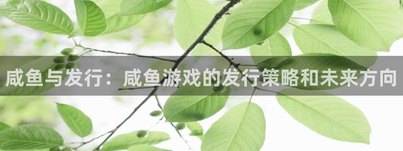 bg大游官网登录注册账号是什么：咸鱼与发行：咸鱼游戏的发行策略和未来方向