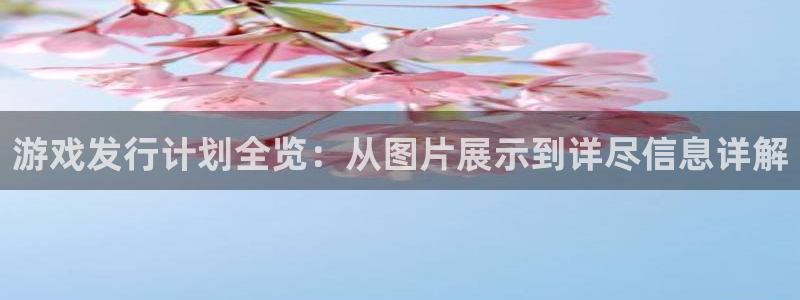 广东bg大游电子科技有限公司 联系电话：游戏发行计划全览：从图片展示到详尽信息详解