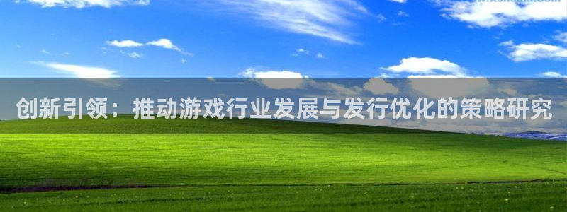 bg大游球队：创新引领：推动游戏行业发展与发行优化的策略研究