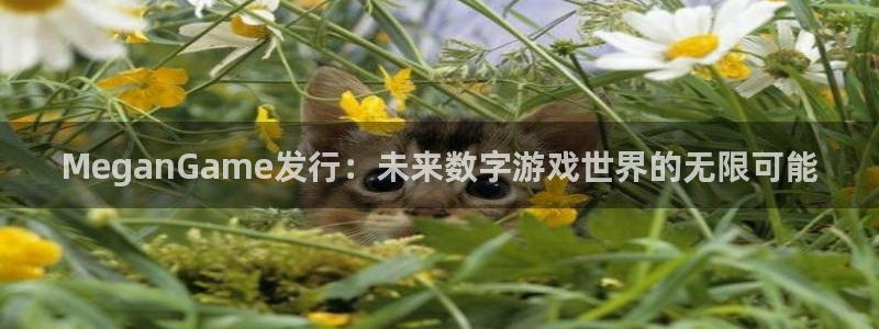 bg大游官网骗局是真的吗