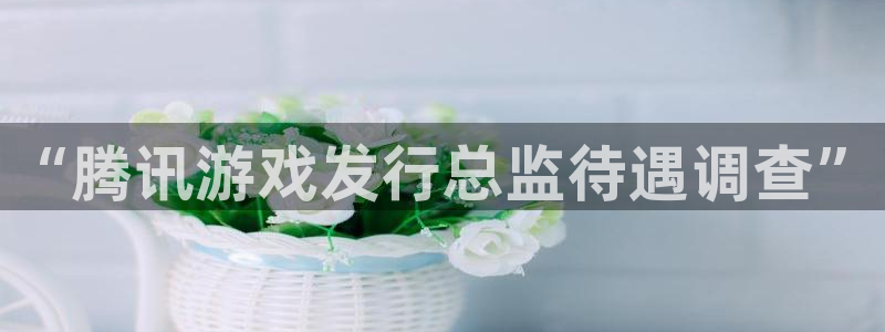 bg大游子集团