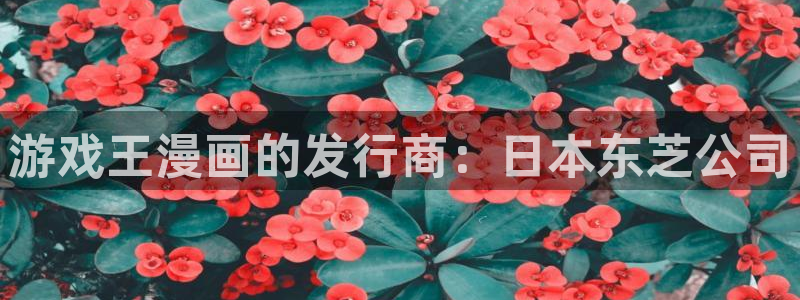 广州bg大游网络科技有限公司怎么样